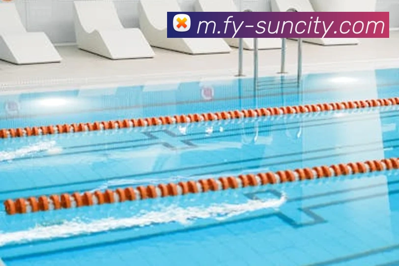 太阳城网站发展历程